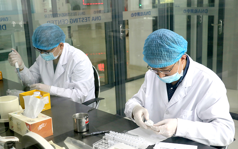 鹤岗亲子鉴定多久拿到报告,鹤岗隐私亲子鉴定具体流程