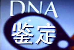 白城DNA鉴定机构如何做鉴定，白城亲子鉴定多久可以检测出来