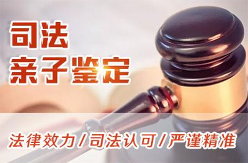 鸡西司法DNA亲子鉴定如何做,鸡西司法亲子鉴定哪里做