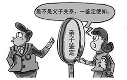 张家口亲子鉴定服务机构咨询预约，DNA鉴定生物样本有些什么