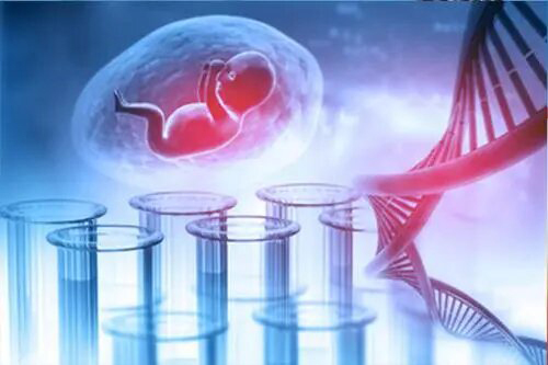 阳泉怀孕33天需要怎么办理DNA亲子鉴定,阳泉产前亲子鉴定收费多少