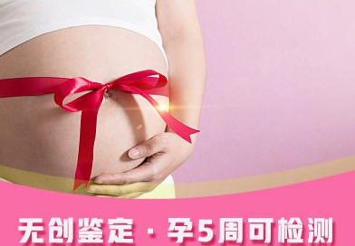 贵州省怀孕如何做DNA鉴定,贵州省产前做亲子鉴定基本的流程