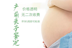 在吉林怀孕期间怎么做怀孕亲子鉴定，吉林办理孕期亲子鉴定准确吗