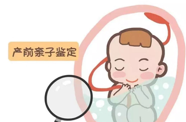 上海市胎儿亲子鉴定详细流程及材料,上海市胎儿亲子鉴定收费