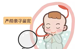 上海市胎儿亲子鉴定详细流程及材料，上海市胎儿亲子鉴定收费