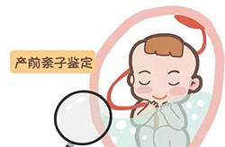 通化孕期亲子鉴定程序是什么，通化怀孕亲子鉴定费用