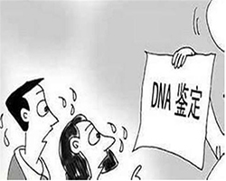 新疆区医院办理血缘检测检材有什么，新疆区医院办理DNA鉴定准不准