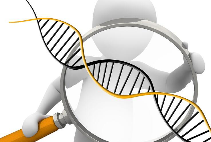 邯郸头发能办理DNA亲子鉴定吗,匿名亲子鉴定收费多少